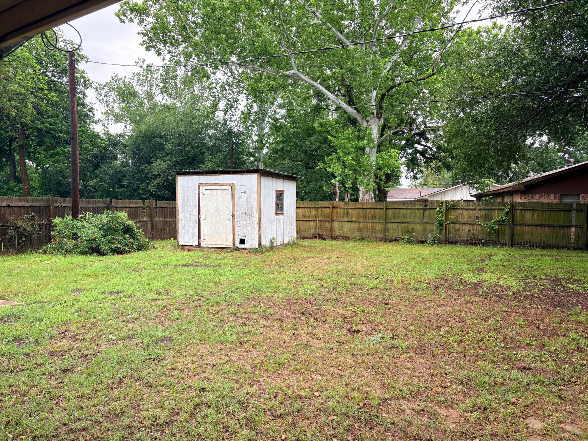 Outside back yard.JPG