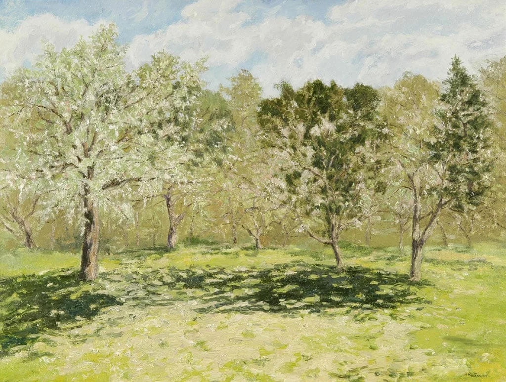 Apple Orchard in May, oil on canvas, 23 x 29 inches