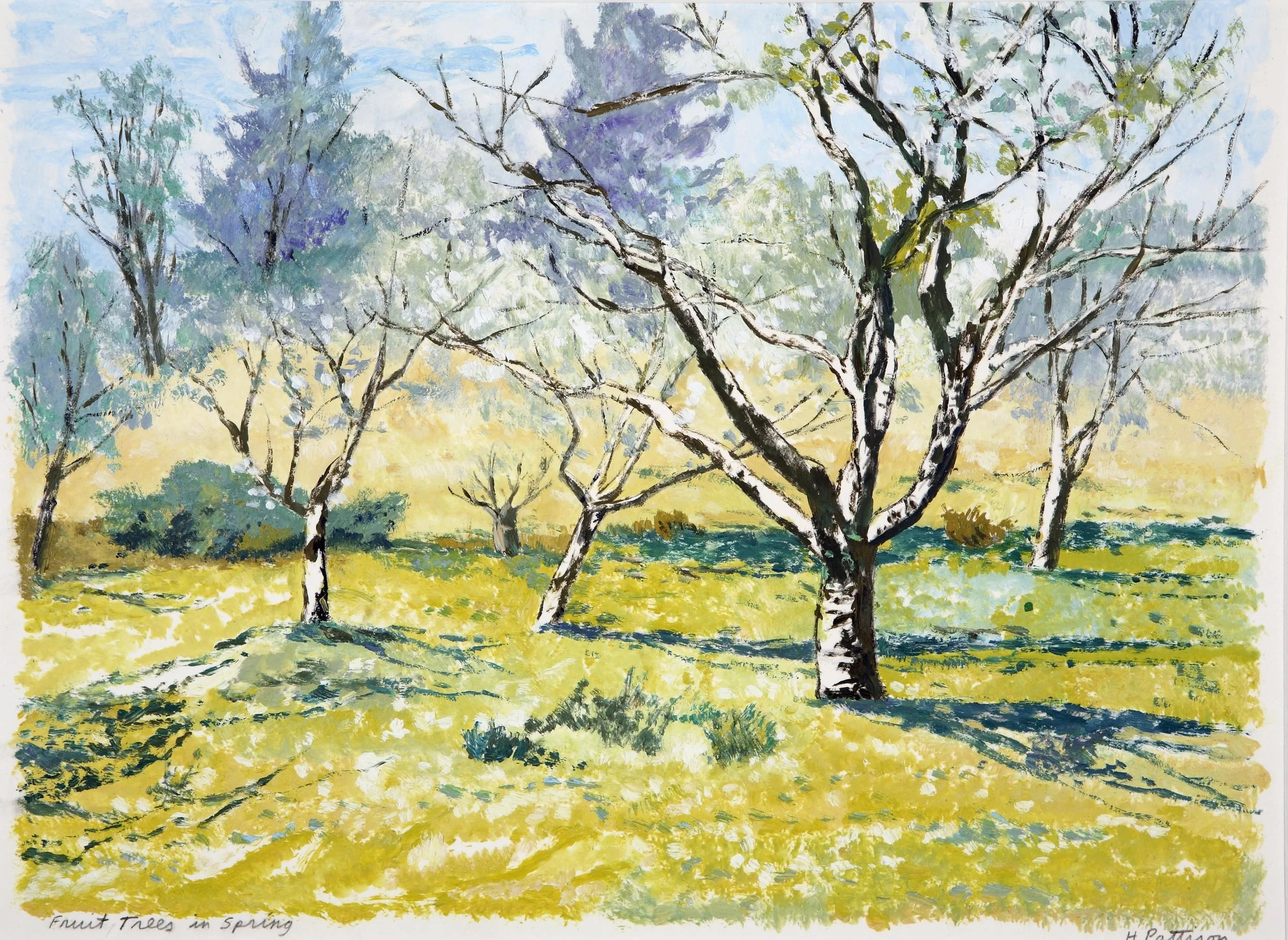Apple Orchard in Spring, oil on paper, 11 x 14.5 inches