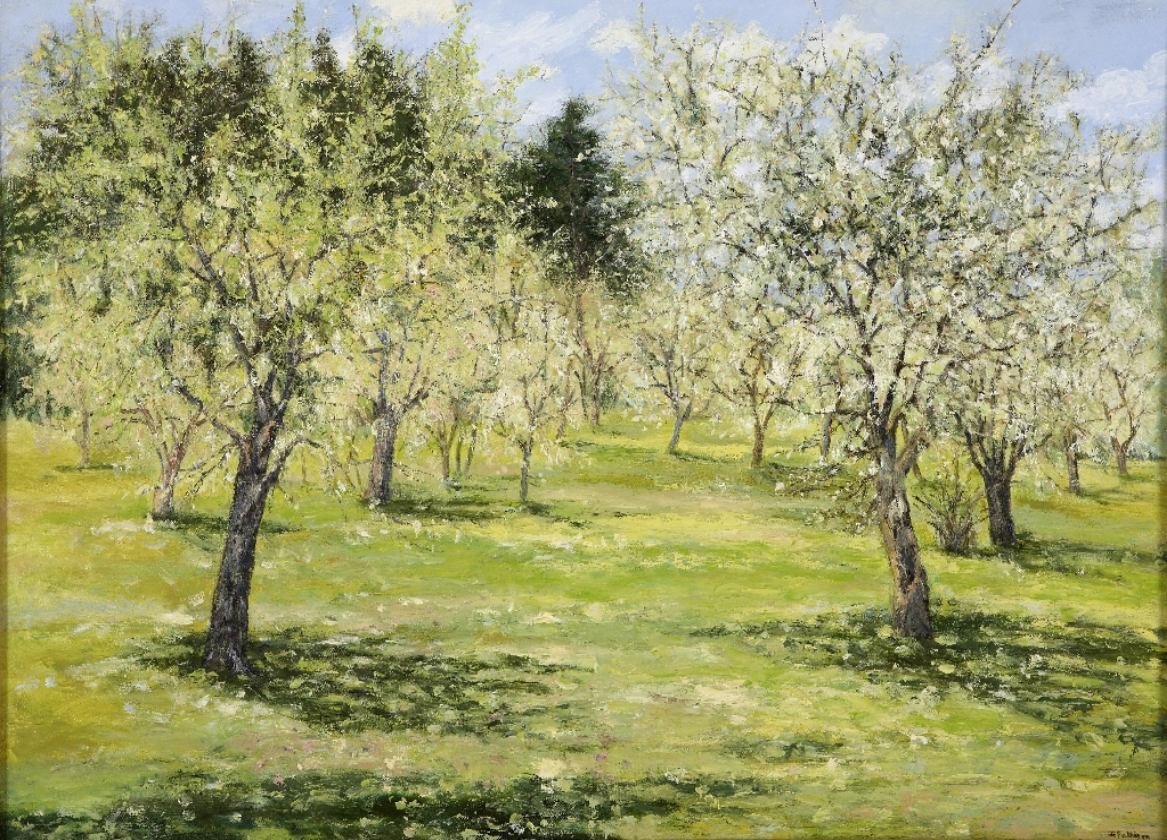 Orchard of Almond Trees, oil on canvas, 24 x 36 inches