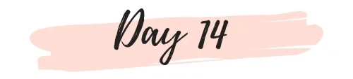 Peachpuff+Brush+Stroke+Photography+Logo-24.jpg