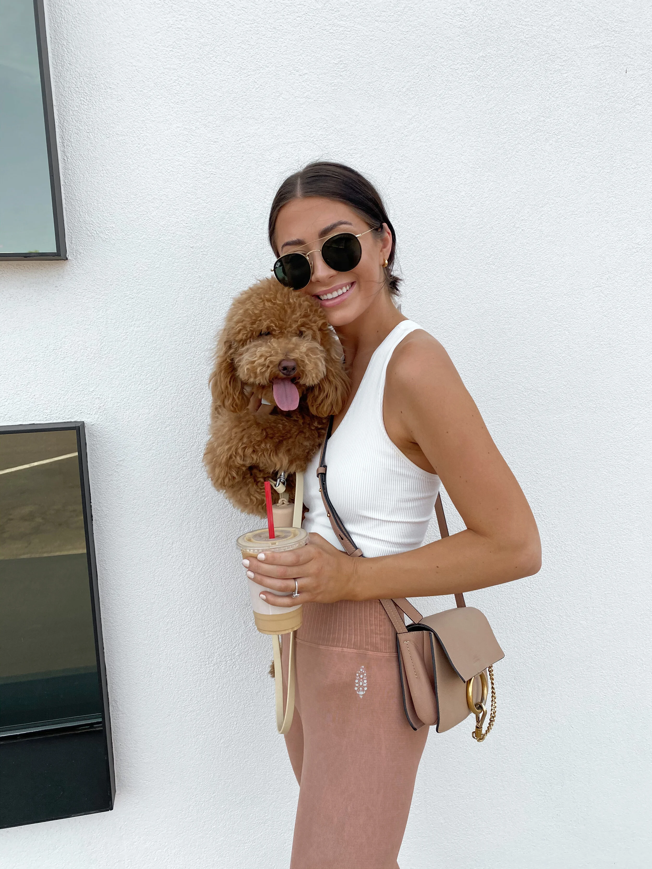 Honey Update + Dog Healthcare Chat! 