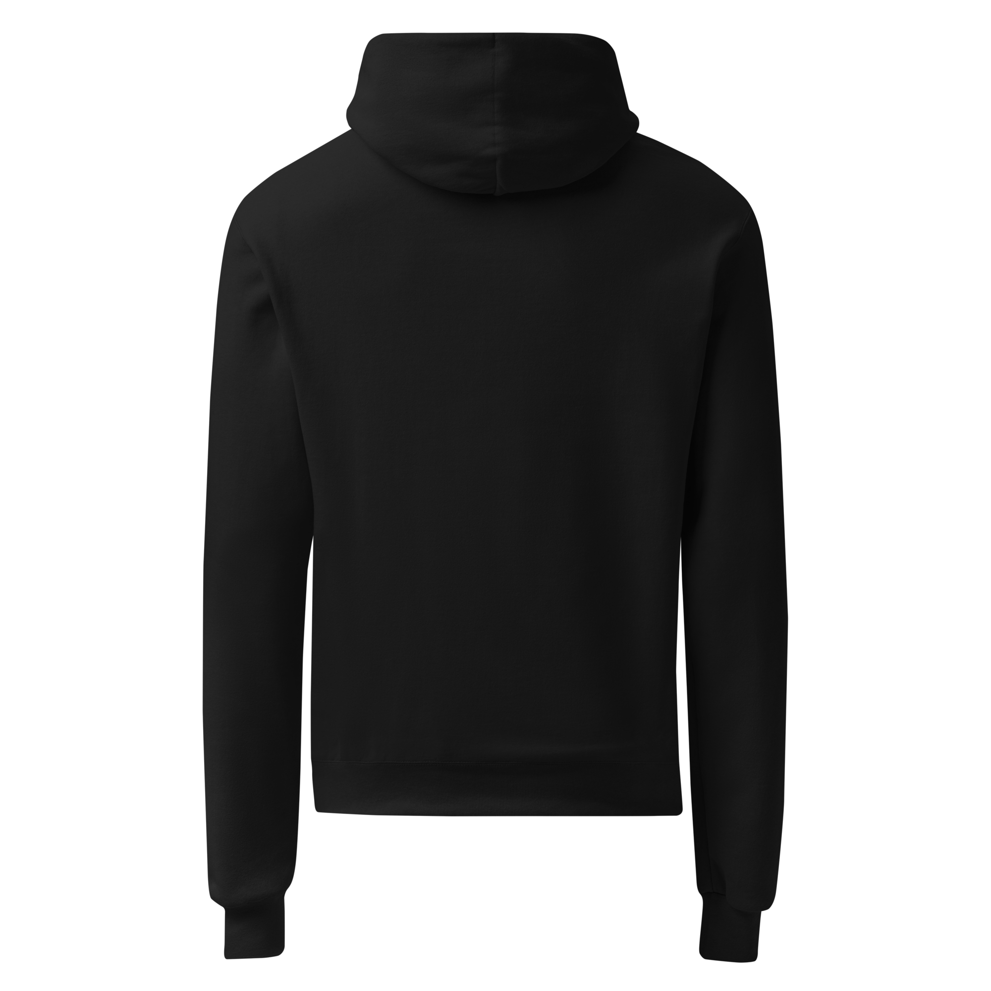 unisex-champion-hoodie-black-back-693b92a26dd27.png