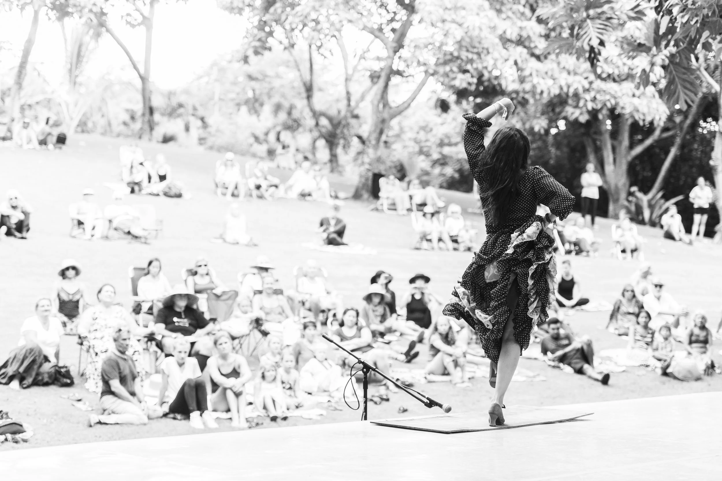 DANCEMAUI2015070.jpg
