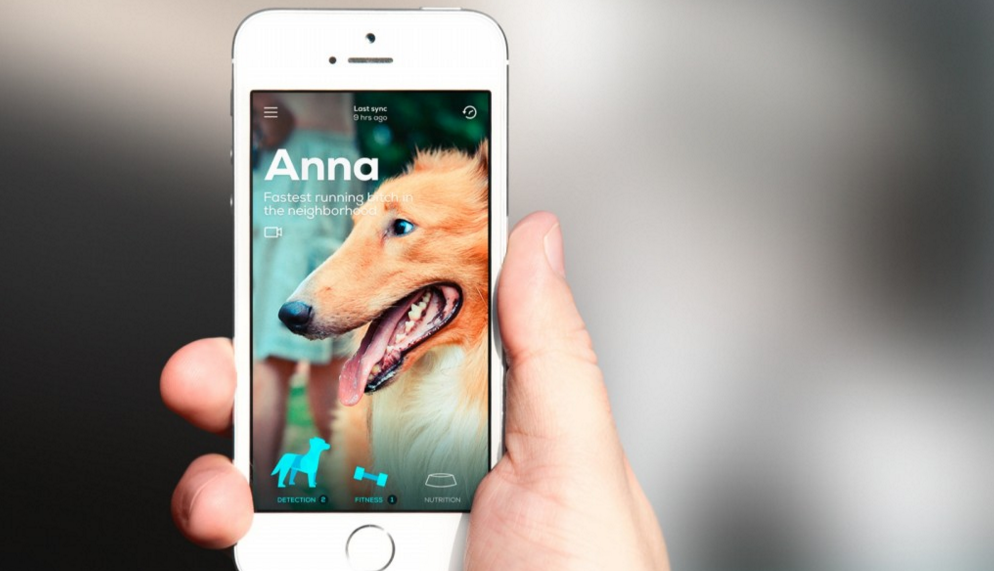 Screen shot 2015-11-23 at 7.03.36 PM.png