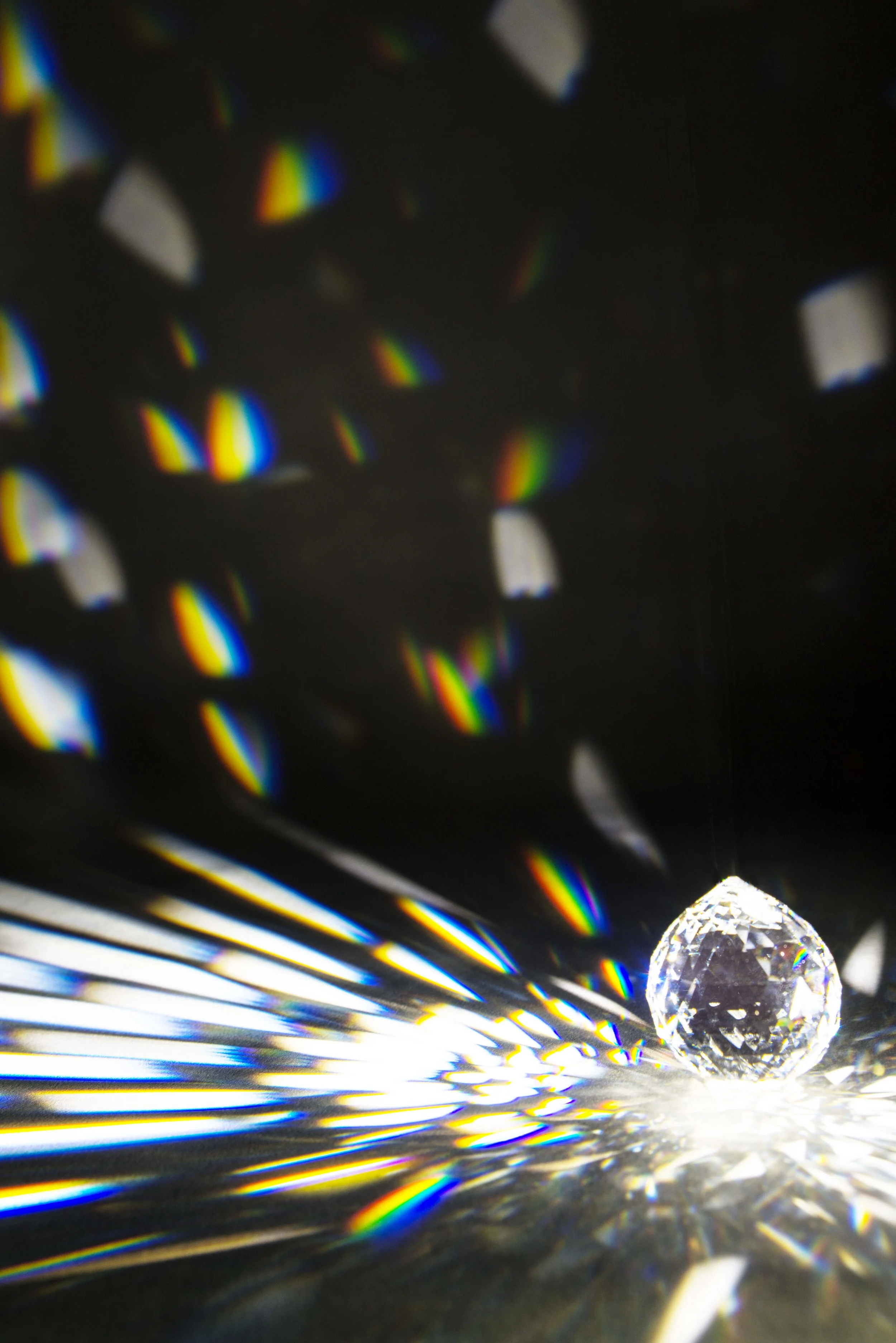 PH43MKS_7095layered.jpg