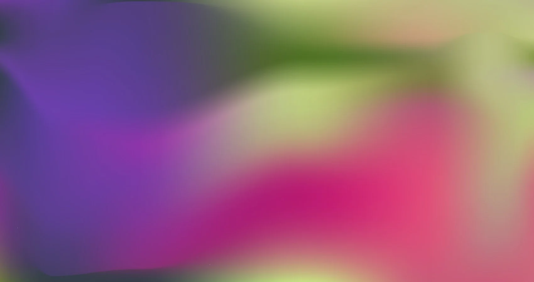 fondo-colibri-1700x900px.jpg