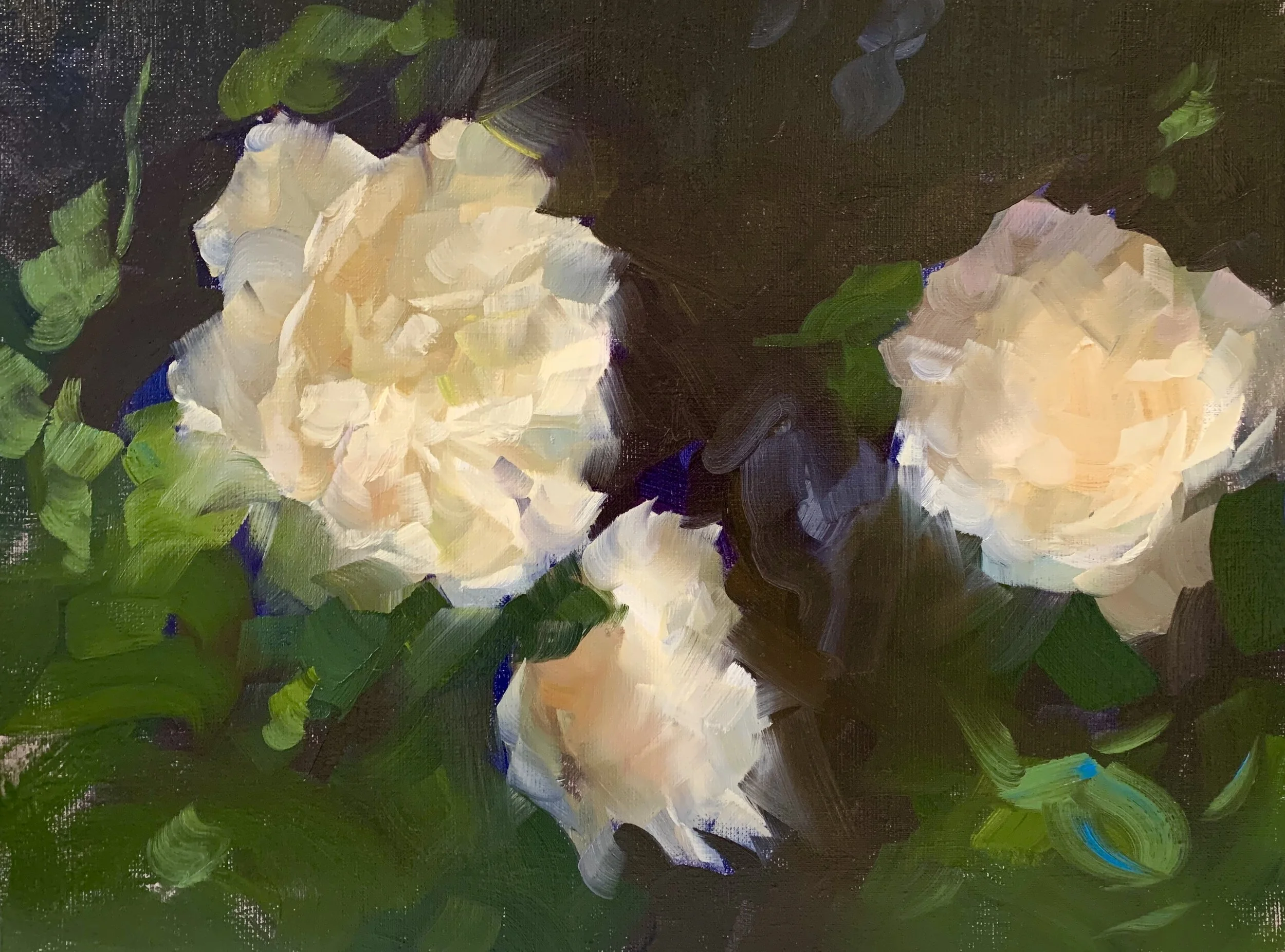 Austin Trilogy 16 x 12.HEIC.jpeg