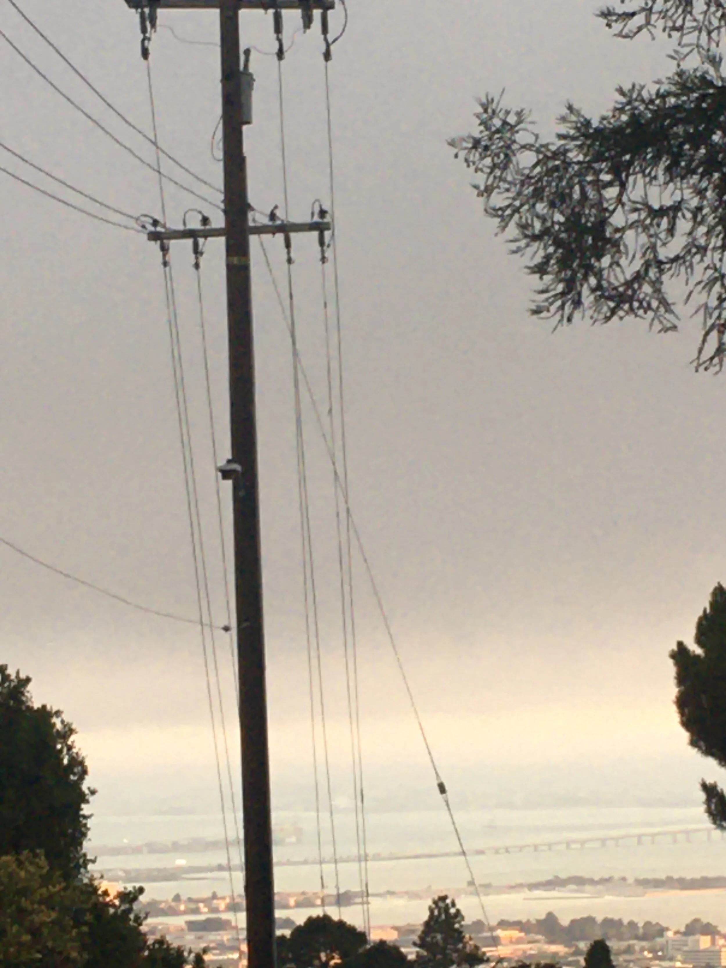 Messiaen Quartet for the End of Time