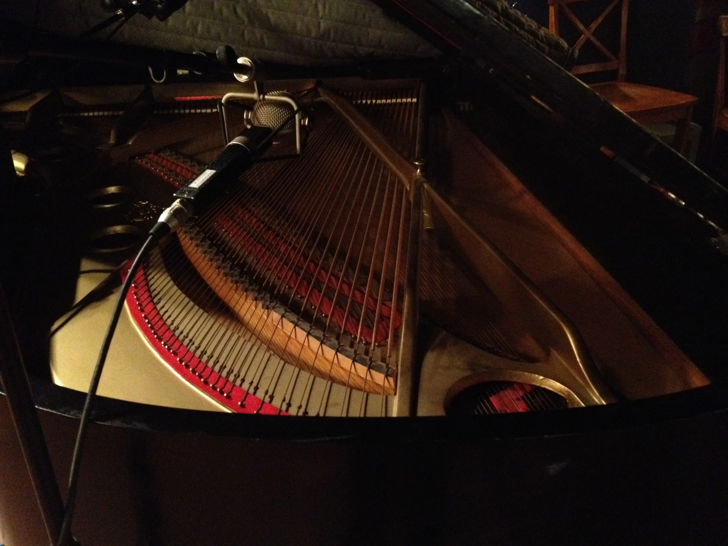 piano guts.jpg
