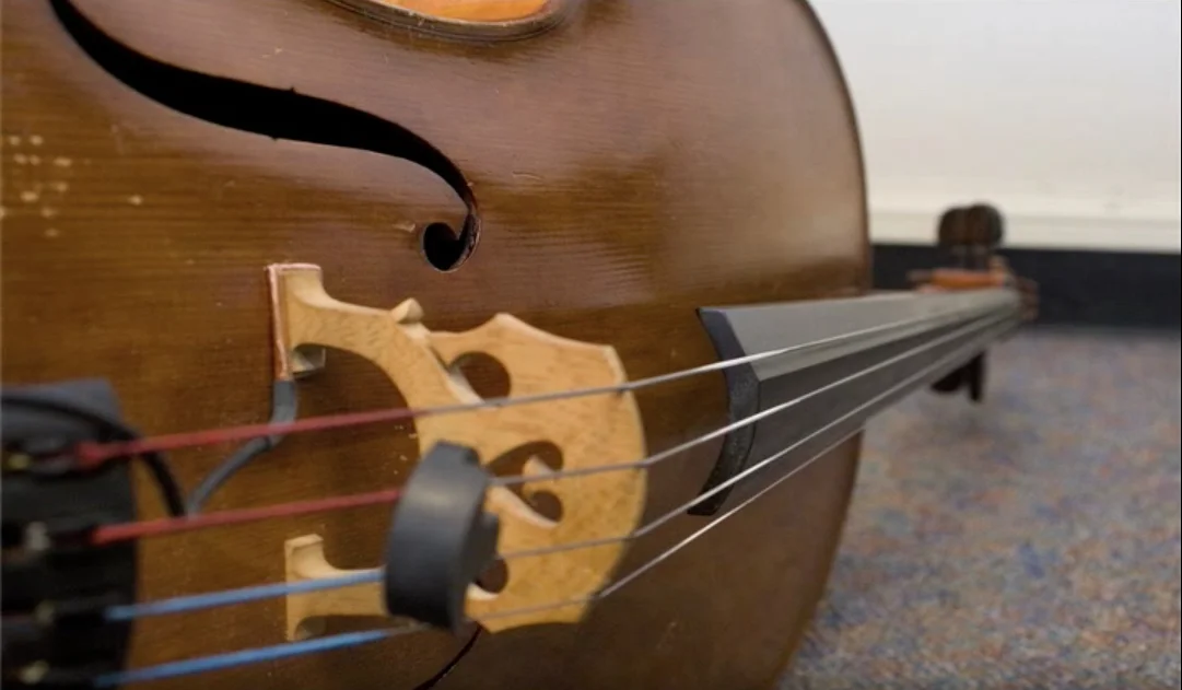 cello 2.jpg