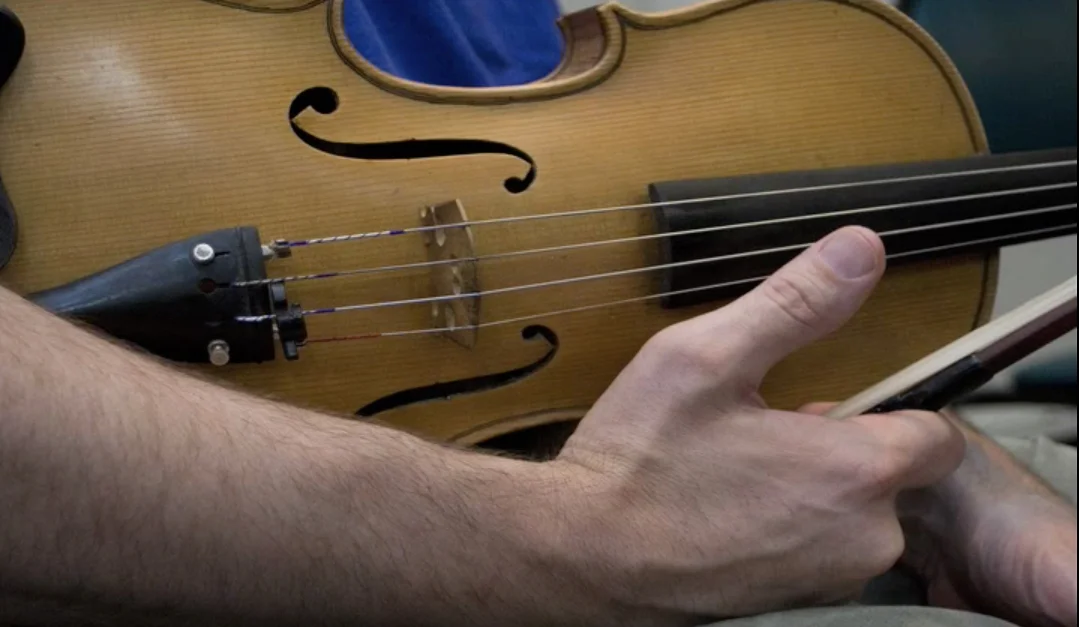 viola 2.jpg