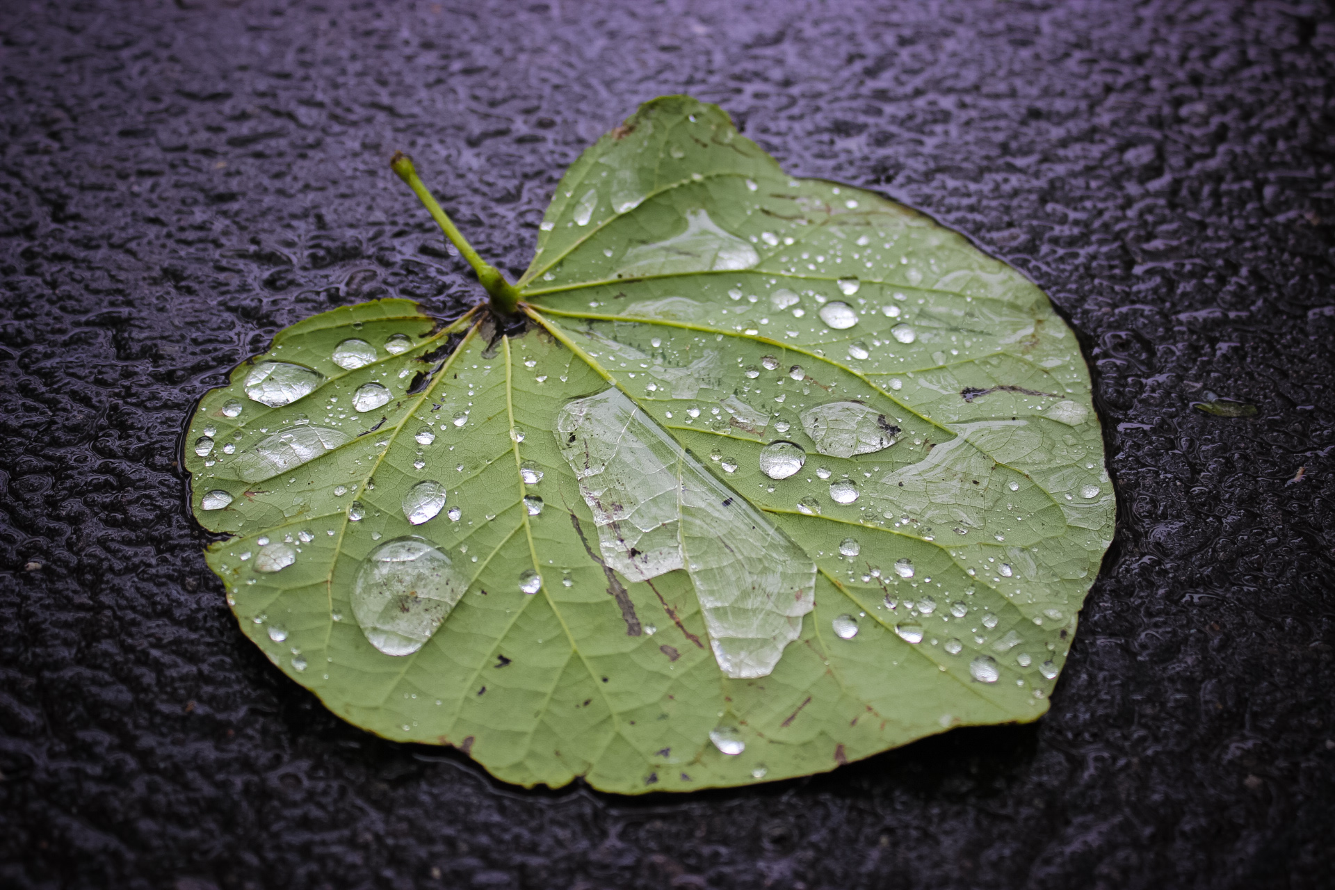 hanging prints-9.jpg