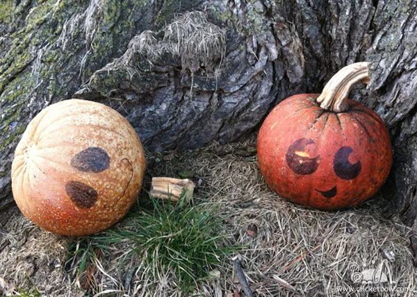 Pumpkin Decay1