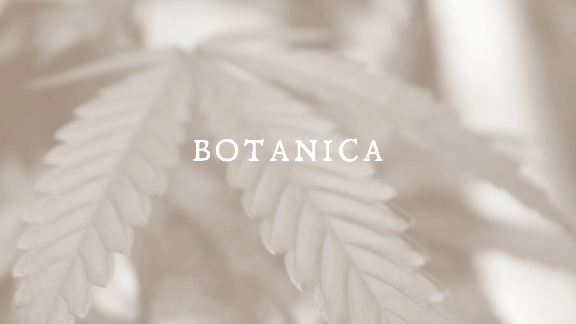 Botanica22.jpg