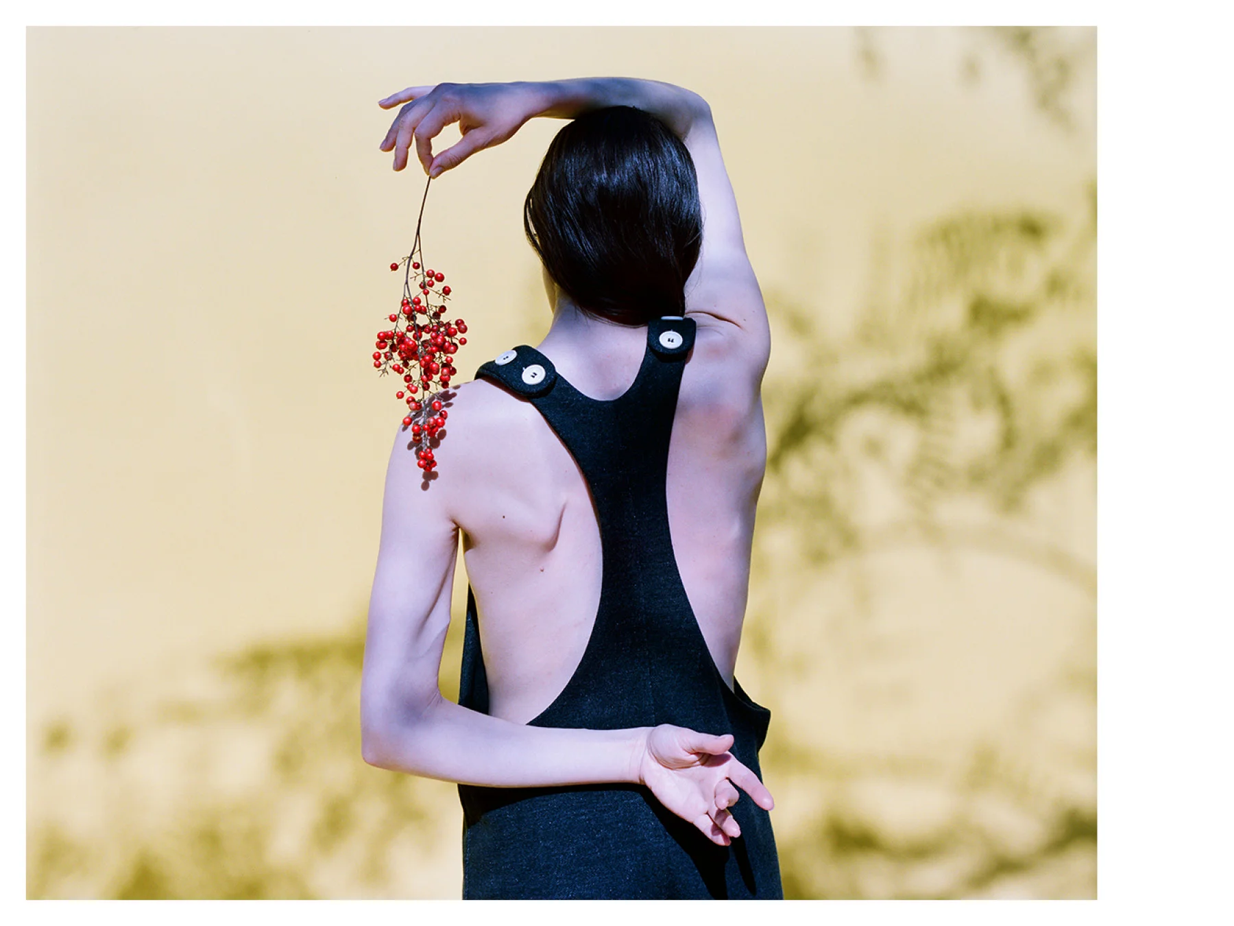 p+p_fw17-body0119.jpg