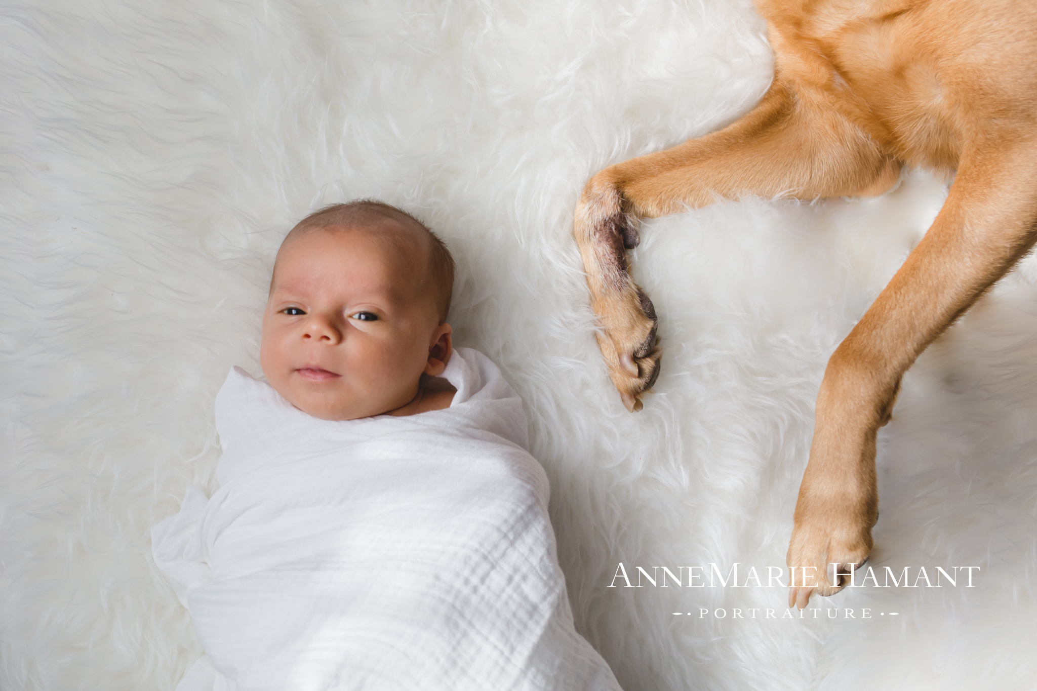 AlosGrowingFamilyB-35.jpg