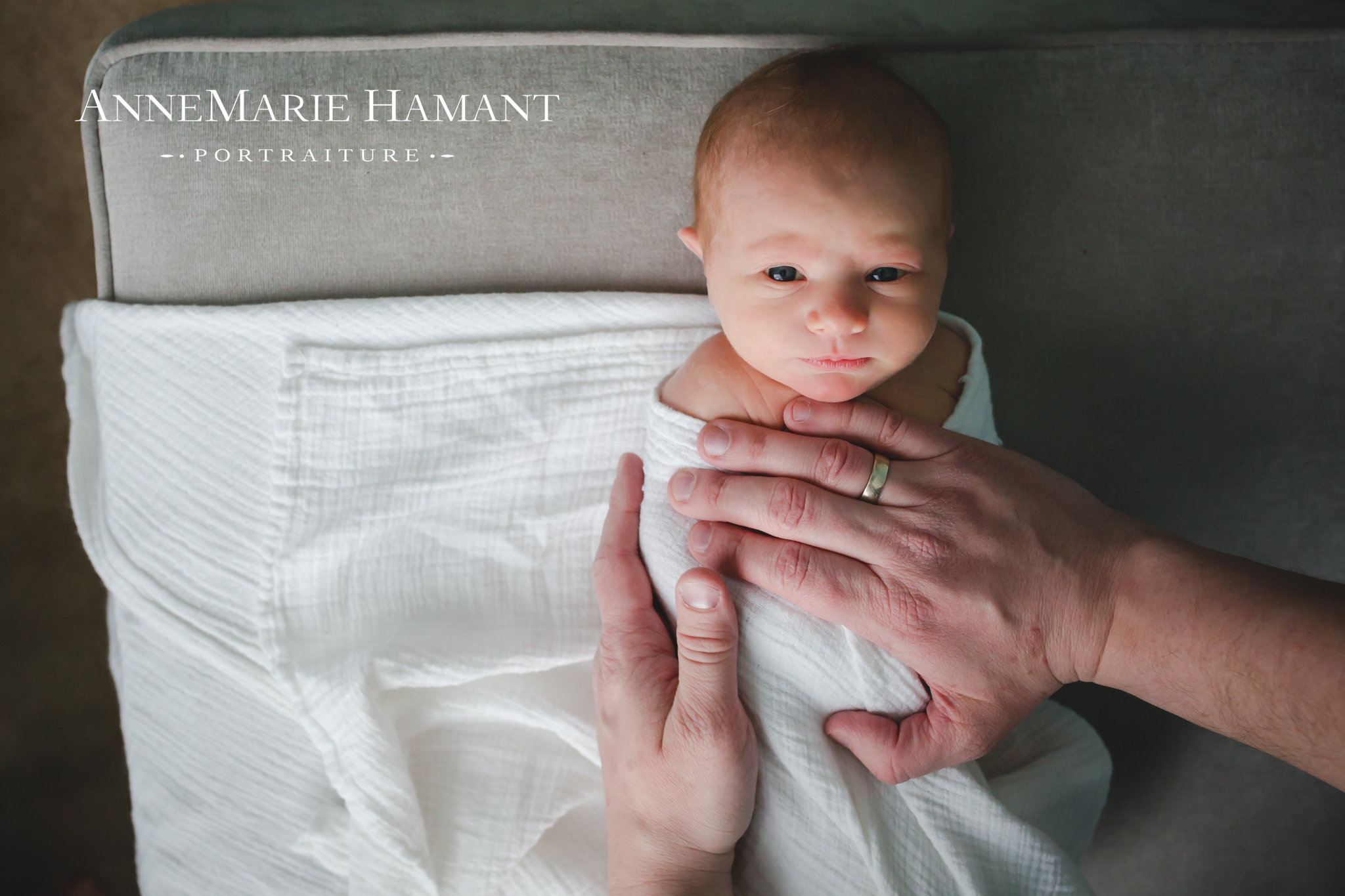 lehigh valley lifestyle newborn photographer