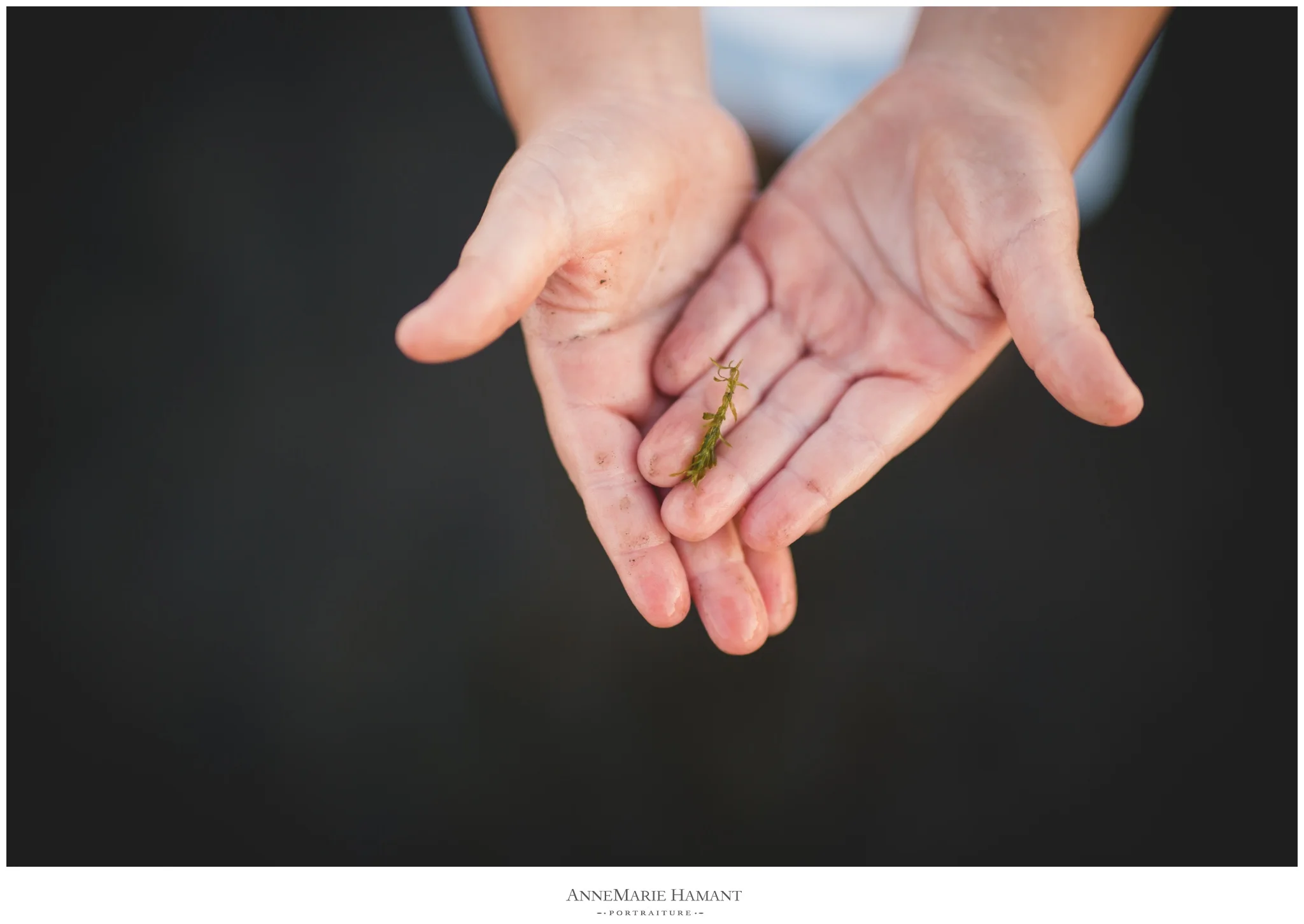 Lehigh Valley & Bucks County Child Family Photographger