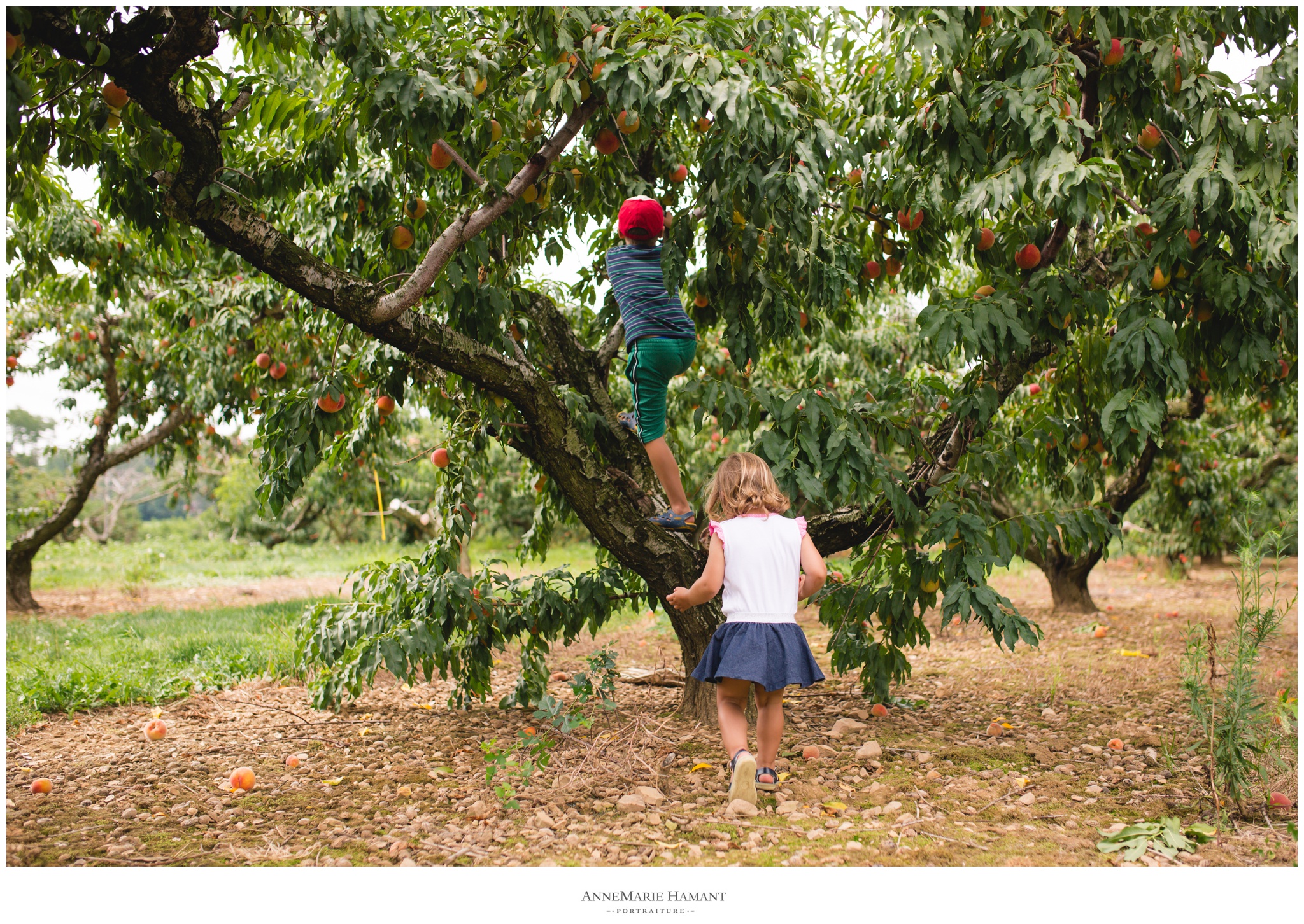 Bucks County Lehigh Valley Child and Family Photographer