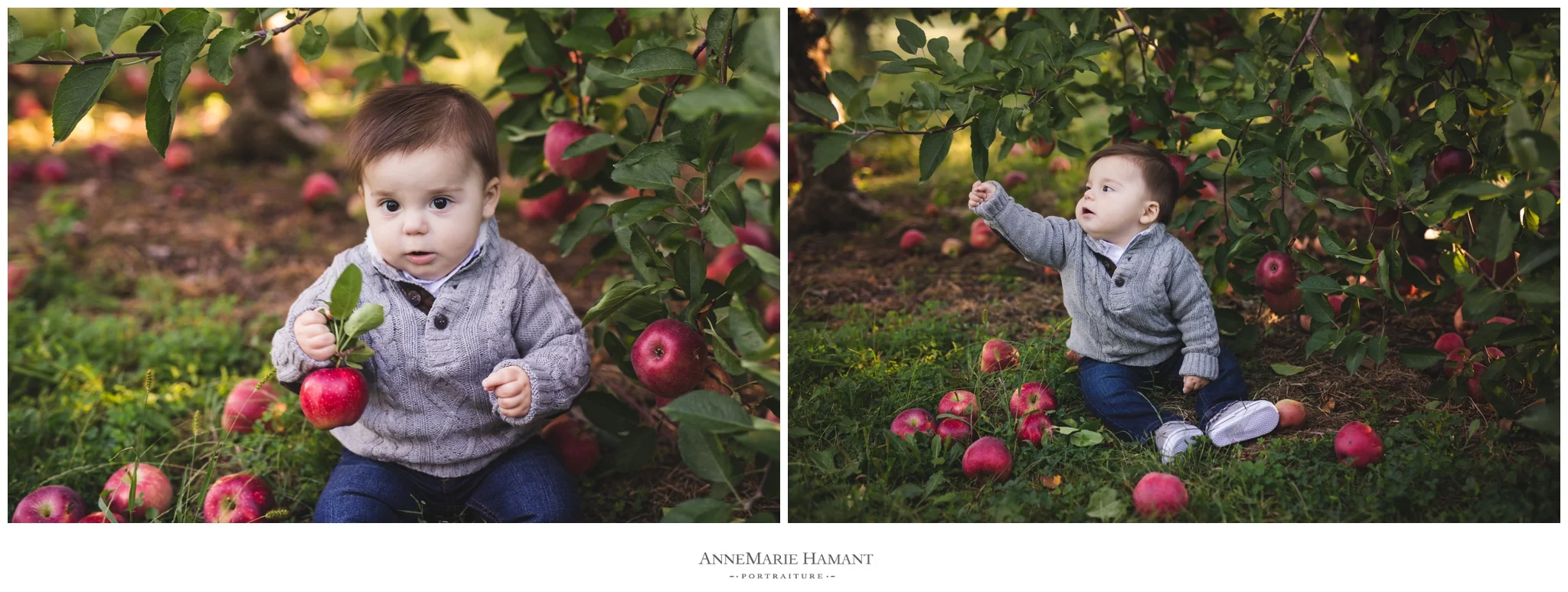 Bucks County and Lehigh Valley Baby Child Family Photographer