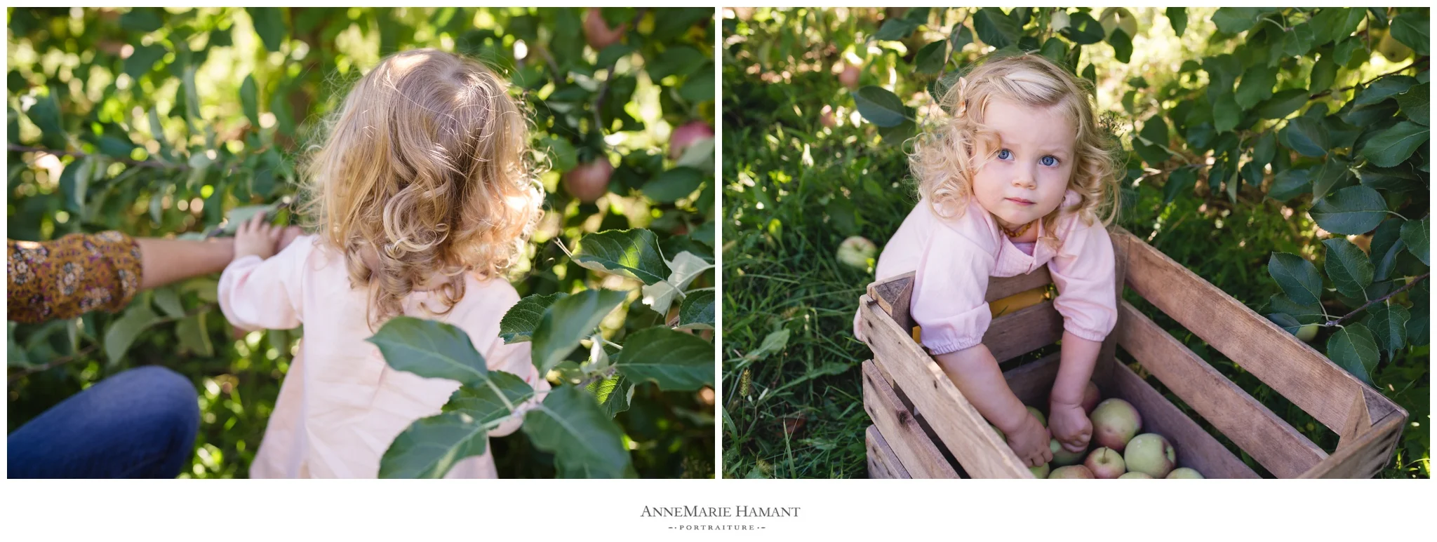 Lehigh Valley Bucks County Lifestyle Family Photographer
