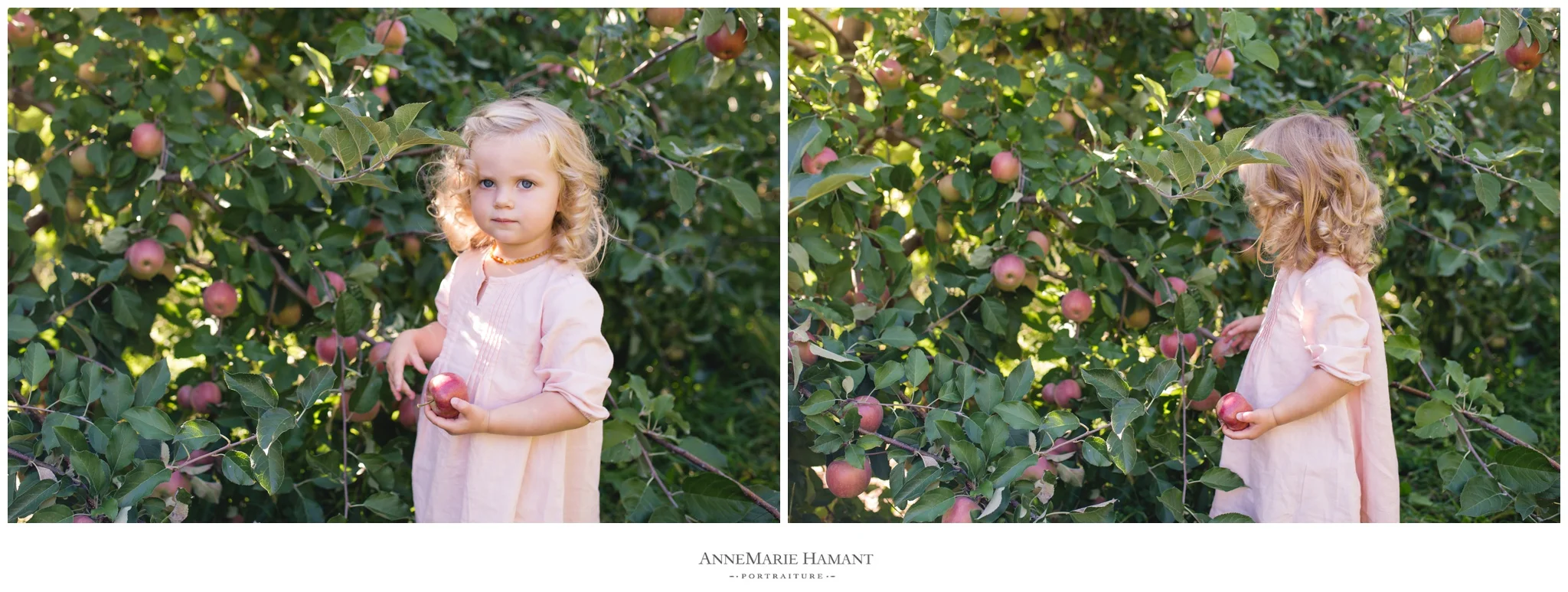 Lehigh Valley Bucks County Lifestyle Family Photographer