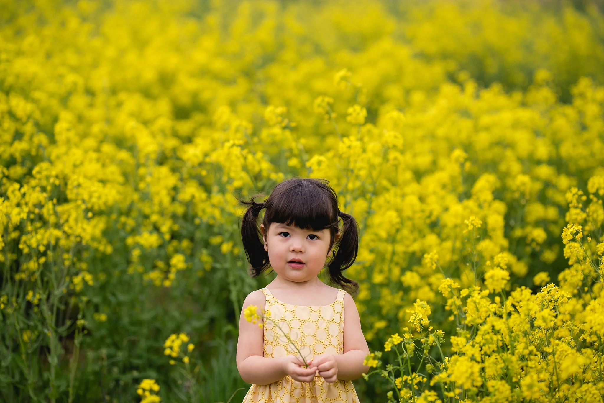 AnneMarie Hamant Portraits and Stories- Lehigh Valley Family Photographer