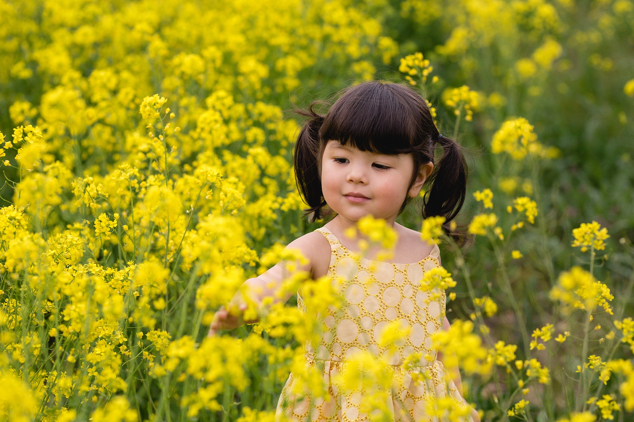 AnneMarie Hamant Portraits and Stories- Lehigh Valley Family Photographer