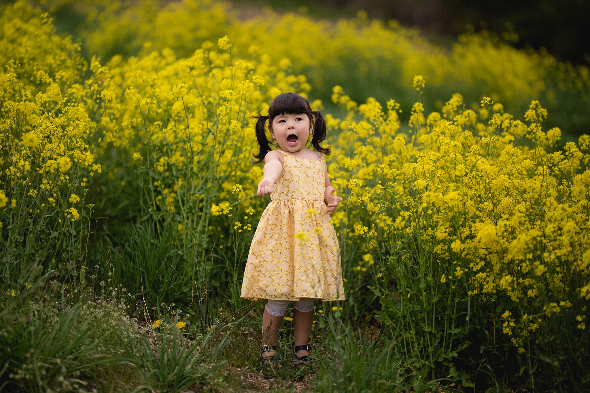 AnneMarie Hamant Portraits and Stories- Lehigh Valley Family Photographer