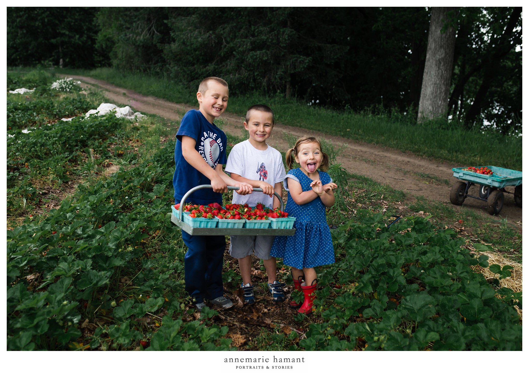 Bucks County Strawberry Picking Child Photographer