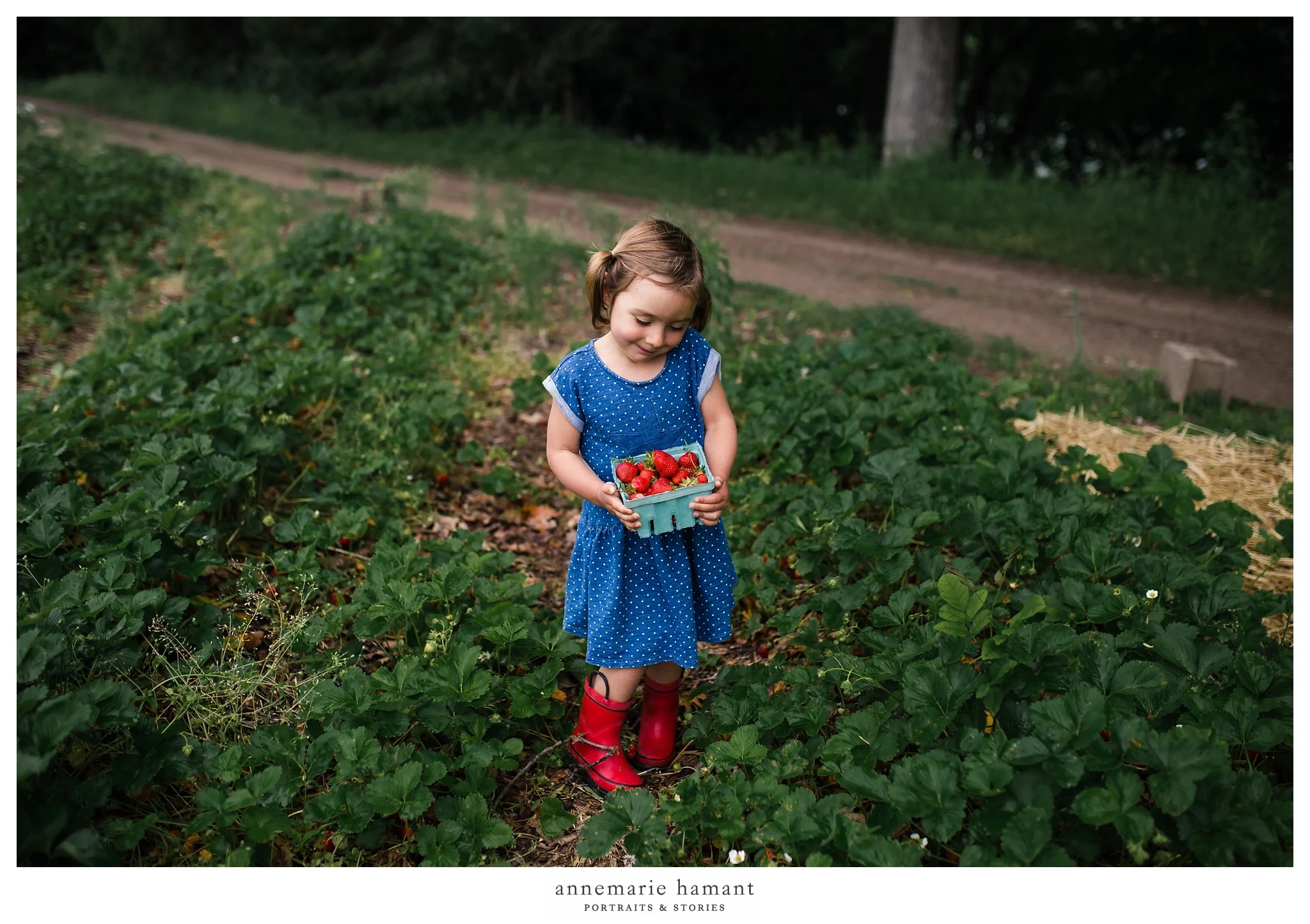Bucks County Strawberry Picking Child Photographer