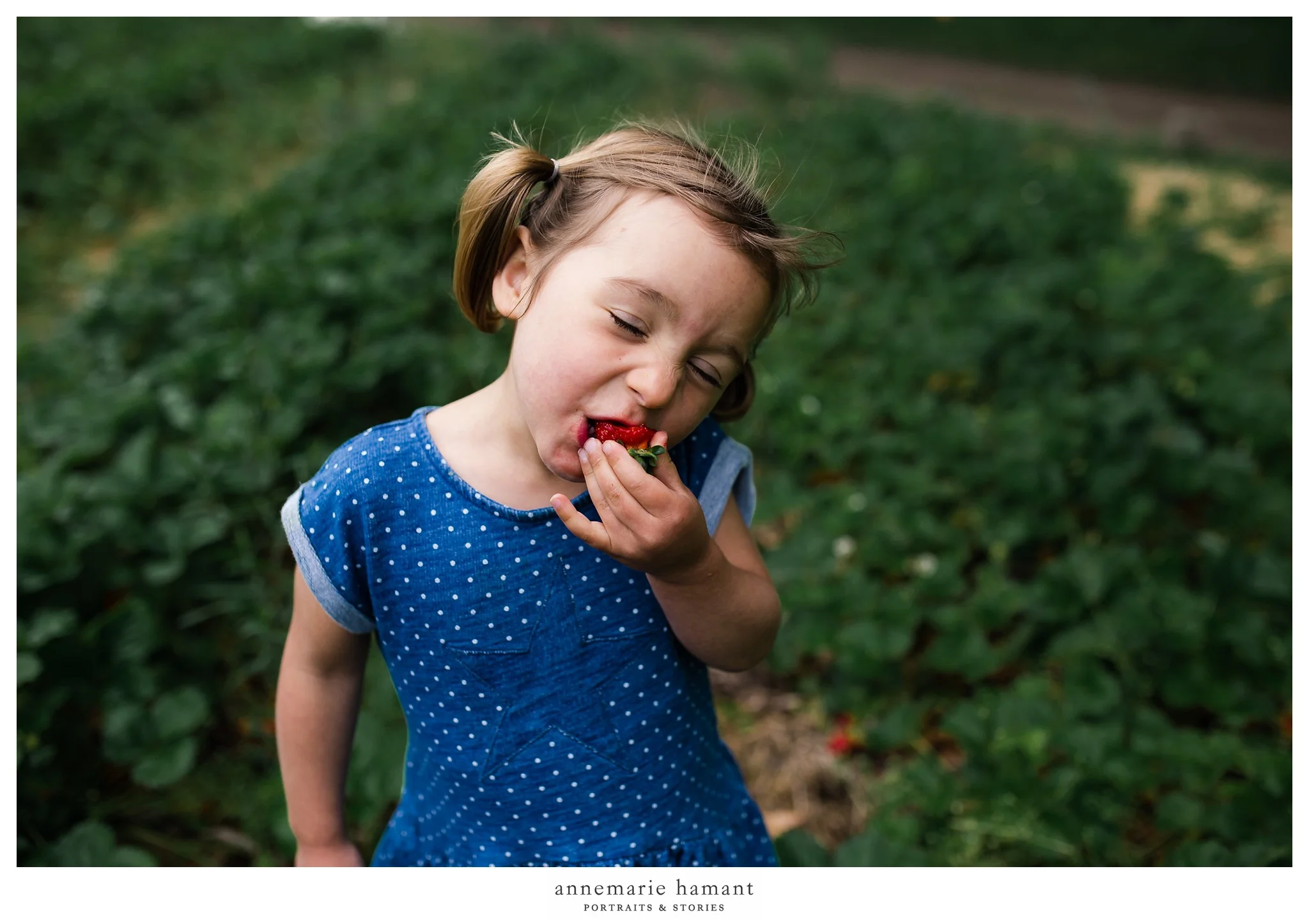 Bucks County Strawberry Picking Child Photographer