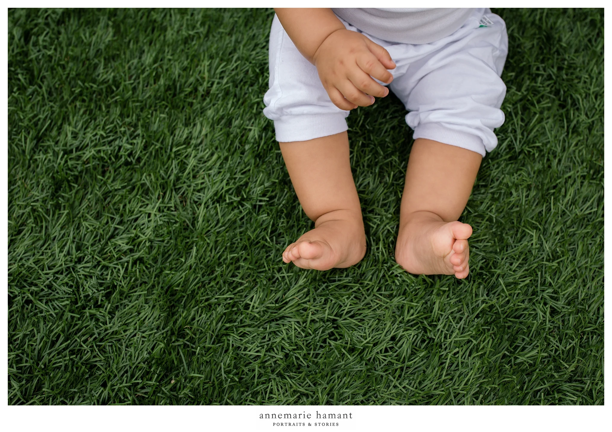 AnneMarie Hamant Portraits and Stories Lehigh Valley Photographer
