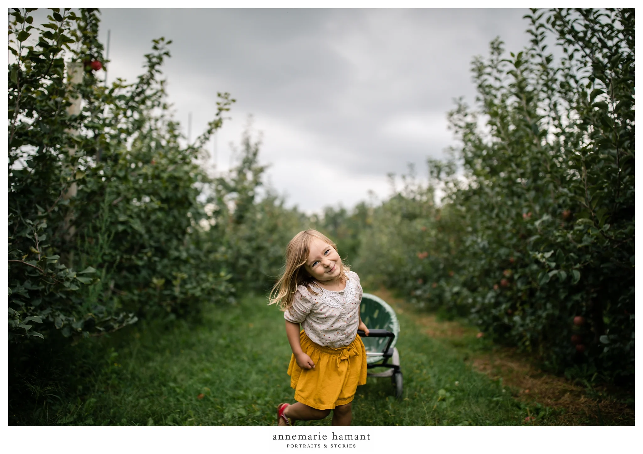 Bucks County Apple Orchard Pictures