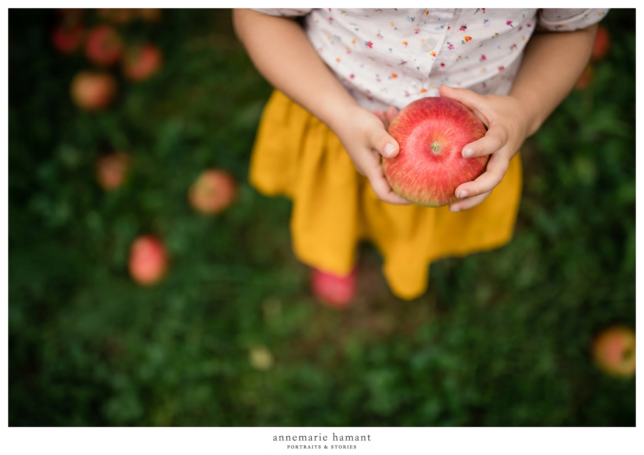 Lehigh Valley PA family photographer