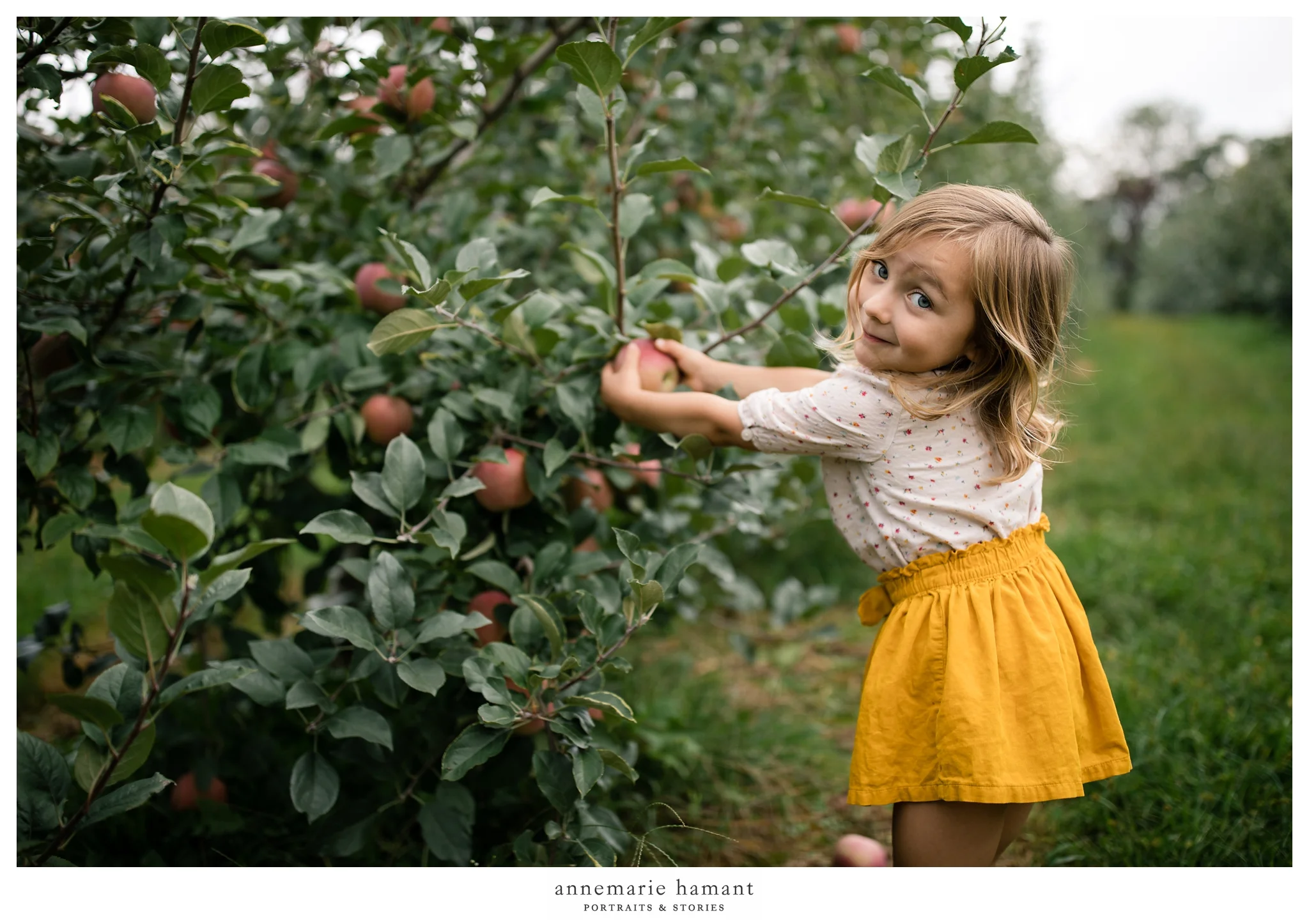 AnneMarieHamantPhotography_www.annemariehamant.com-LehighValleyPA-_1721.jpg
