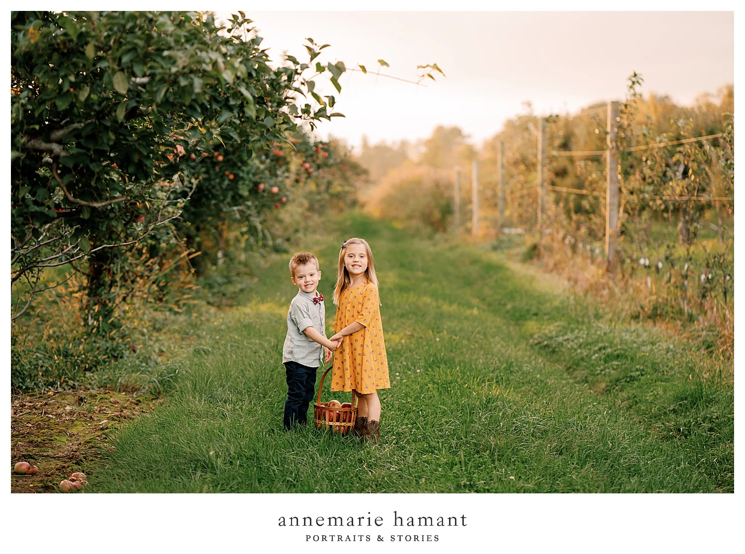 Fall family photos in an apple orchard in Lehigh Valley PA. The orchard is fun and gets gorgeous sunset light and makes for the perfect fall backdrop.