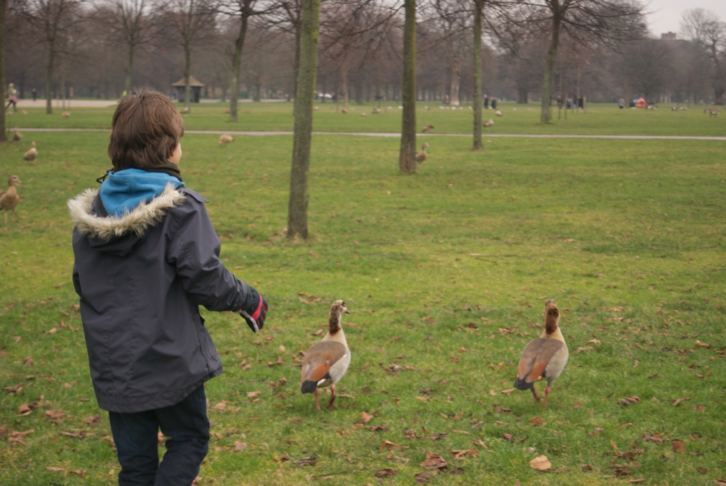 Kensington Gardens 5