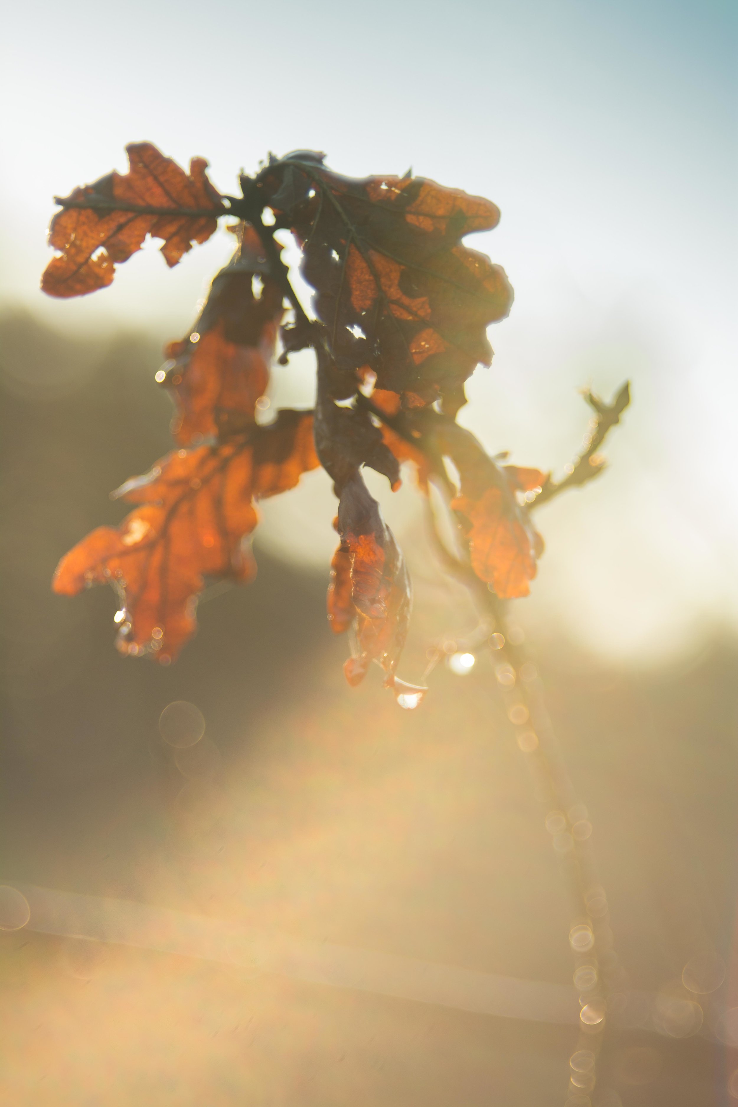 invierno