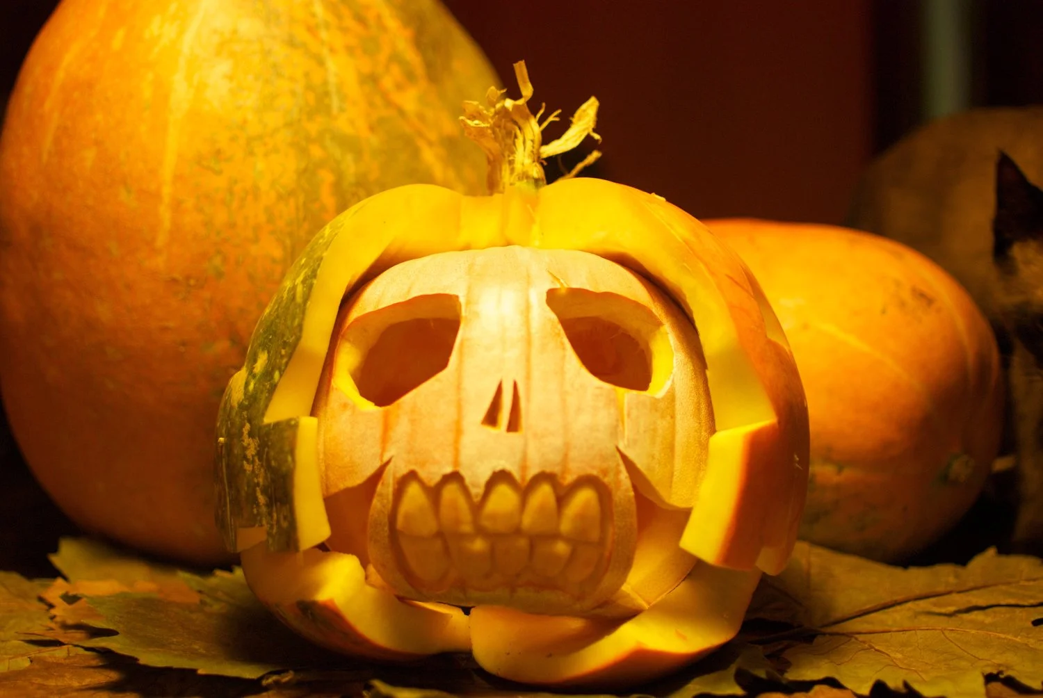Samain+Halloween+Calabaza+Calavera.jpeg