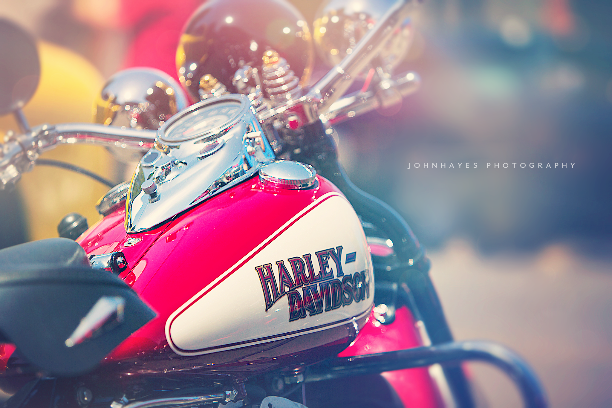 Harley D.png