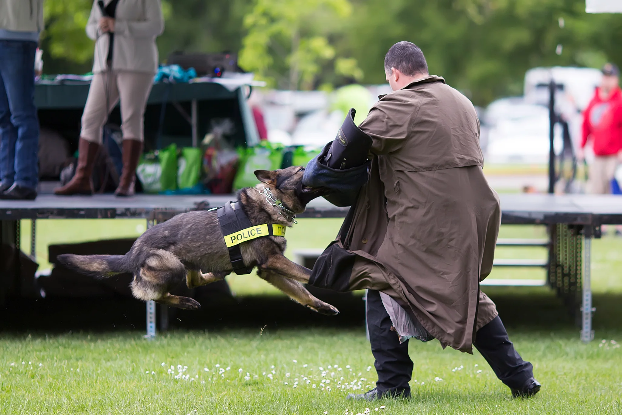 Amy-Schools-Bark-in-Park-199.jpg