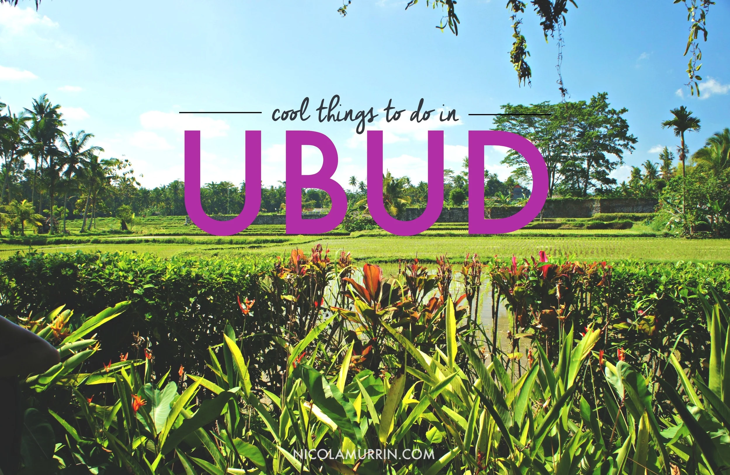 Cool Things To Do In Ubud