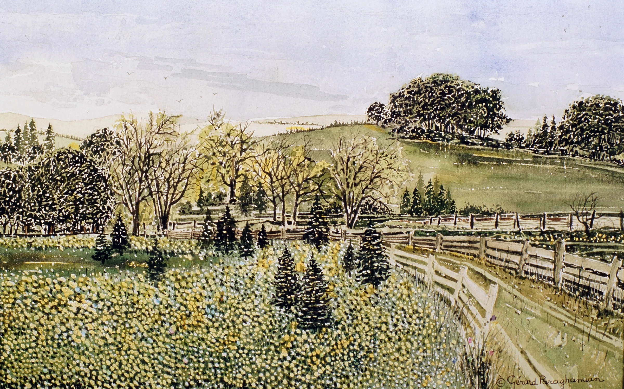 051 - A rural road.jpeg