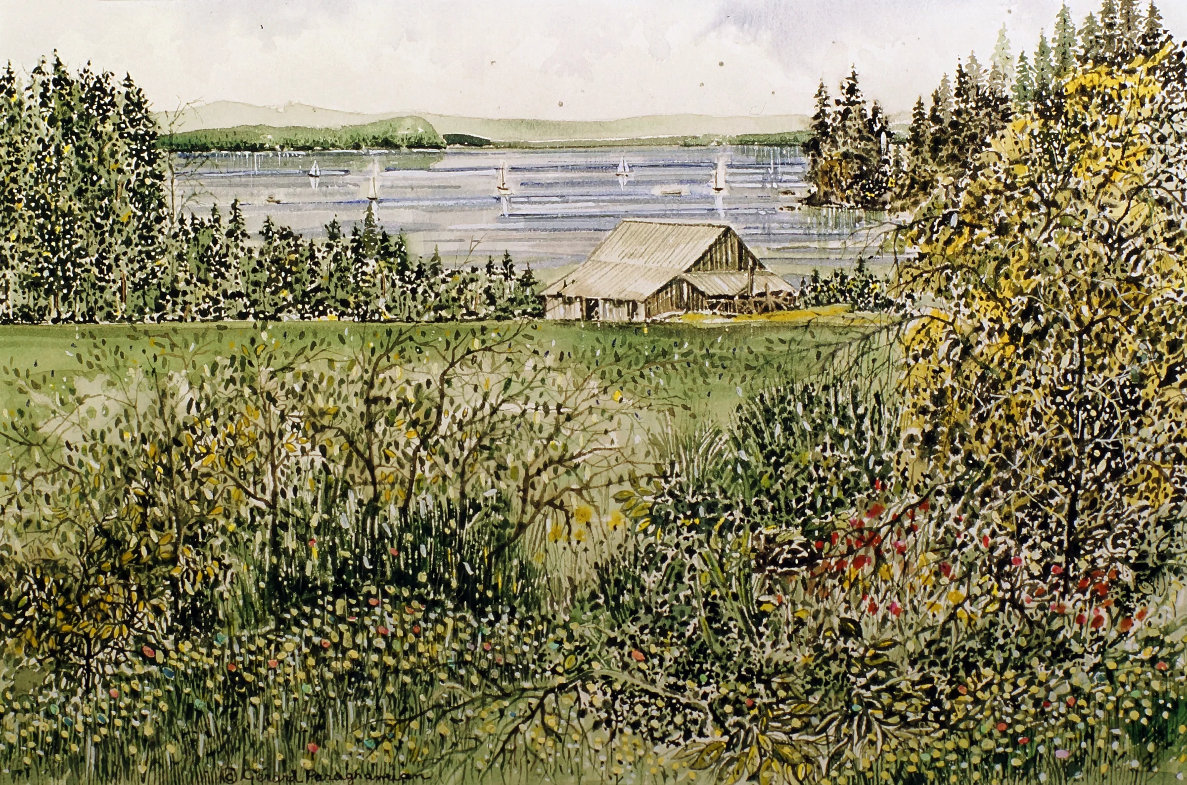 058 - Sailboats in the distance.jpeg