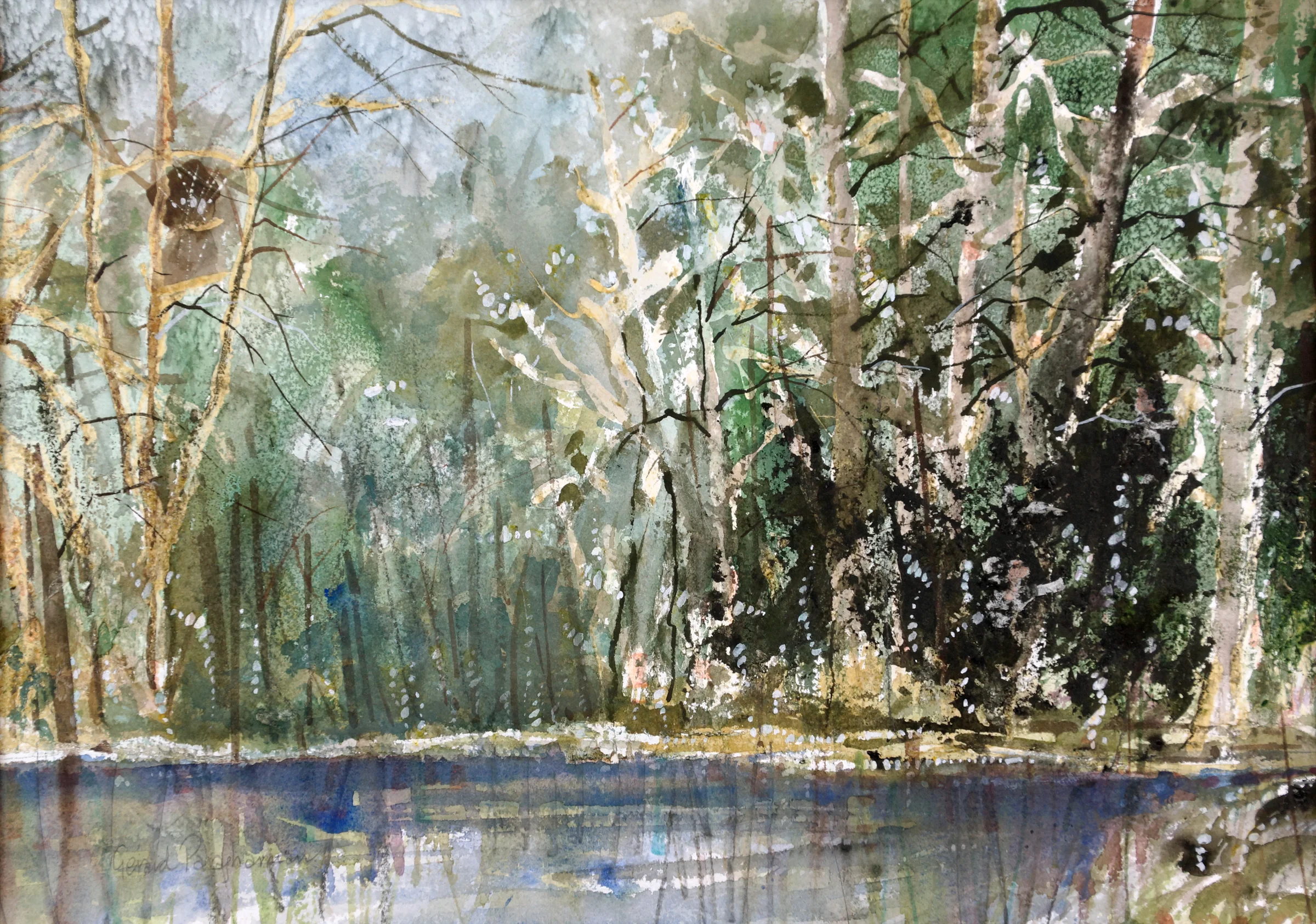 234 - Back woods.jpeg