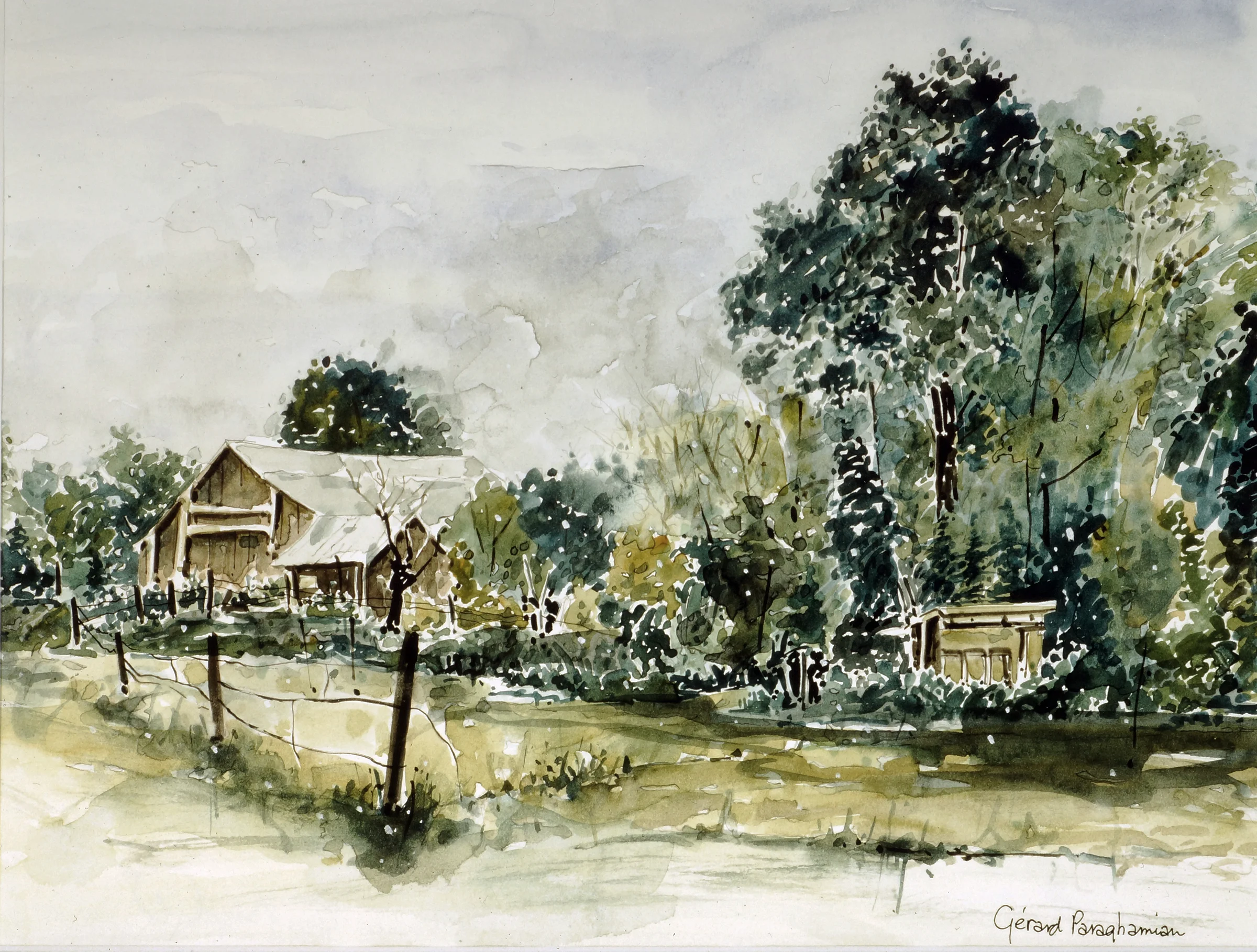 124 - Summer Foliage - Ontario.jpeg