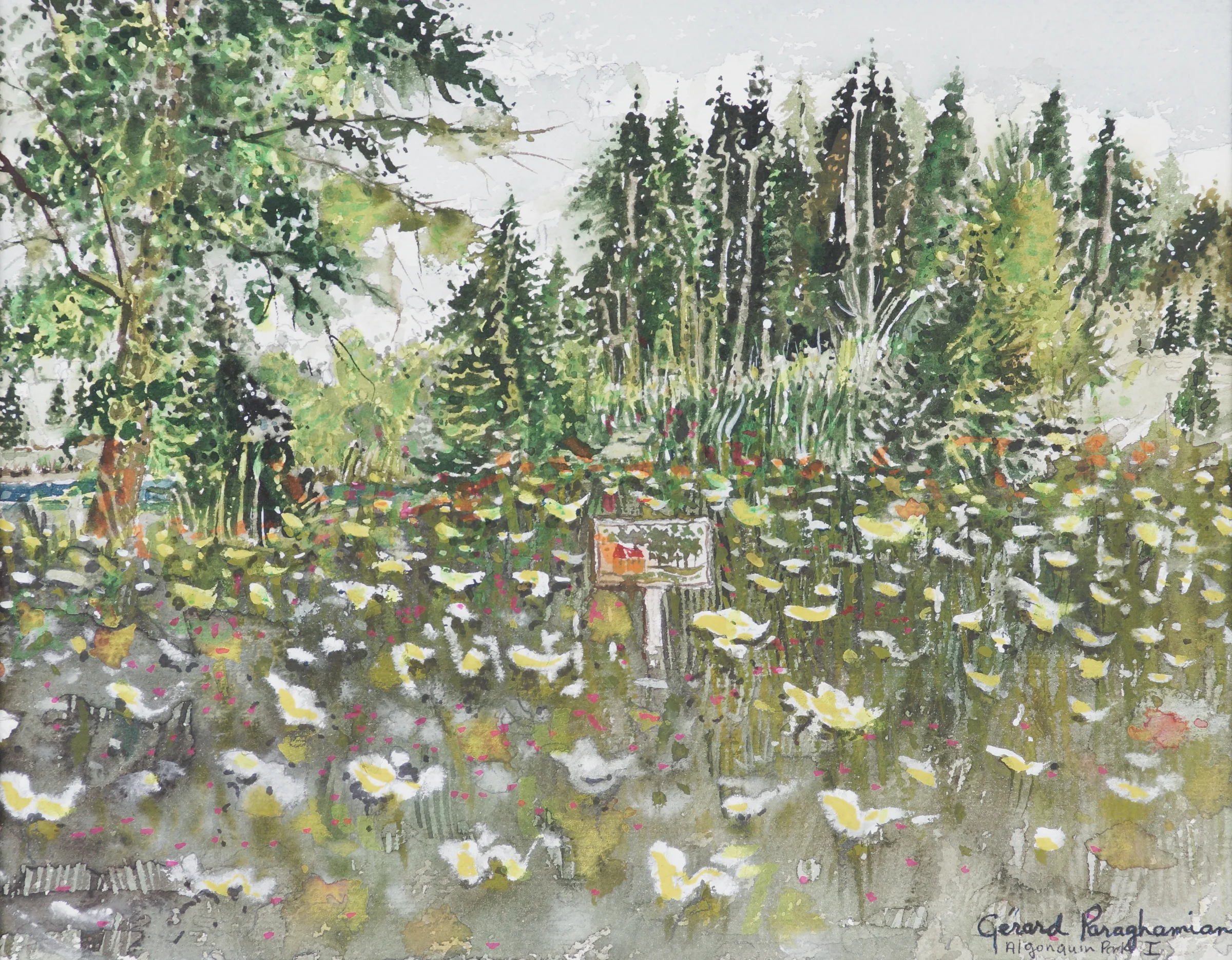 163 - Landscape.jpeg