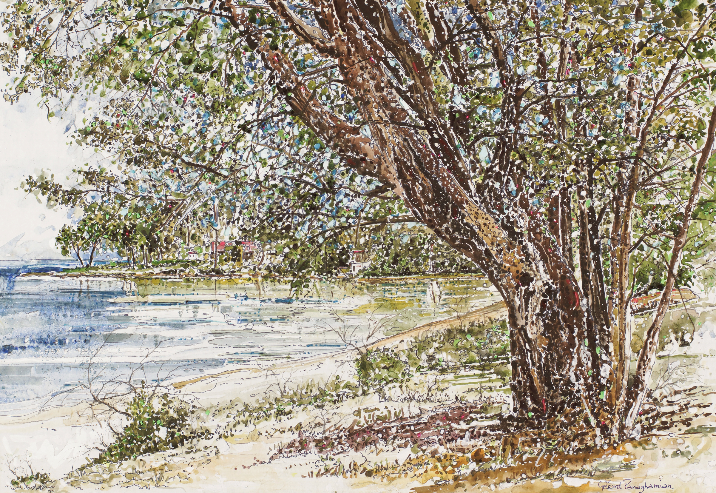 189 - The tree - North Bay, Ontario.jpeg